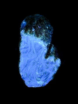 Blue Amber Rough