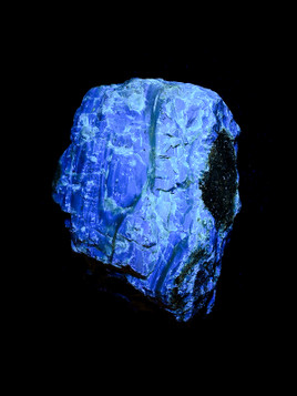 Blue Amber Rough