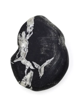 Chrysanthemum Stone