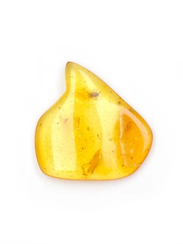 Amber with Insects