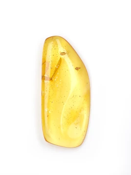 Amber with Insects