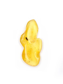 Amber with Insects