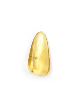 Amber with Insects