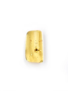Amber with Insects