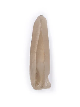 Smoky Lemurian Seed Quartz