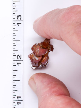 Vanadinite Thumbnail Cluster