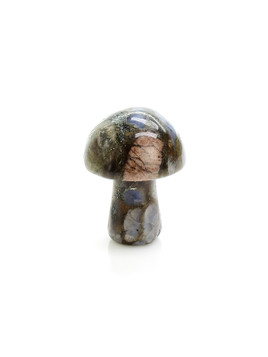Que Sera Mini Mushroom