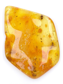 Amber with Insects,Amber with Insects