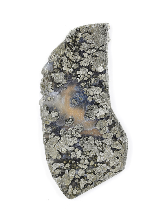 Pyrite in Agate Slice