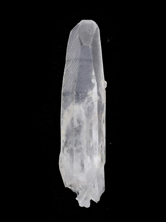 Lemurian Seed Quartz