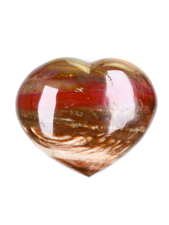 Petrified Wood Heart