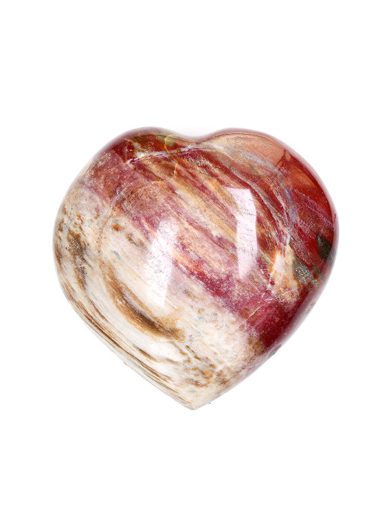 Petrified Wood Heart