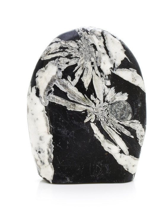 Chrysanthemum Stone
