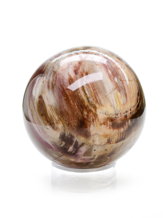 Petrified Wood Sphere