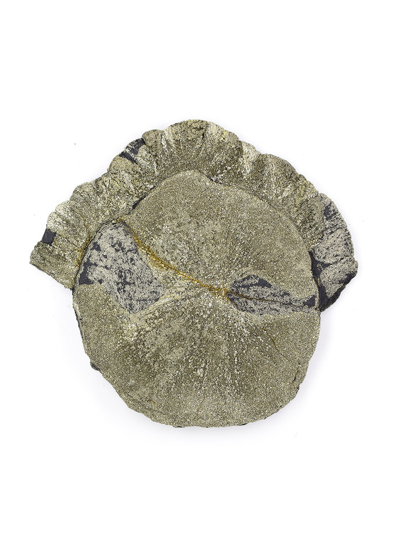 Pyrite Sun