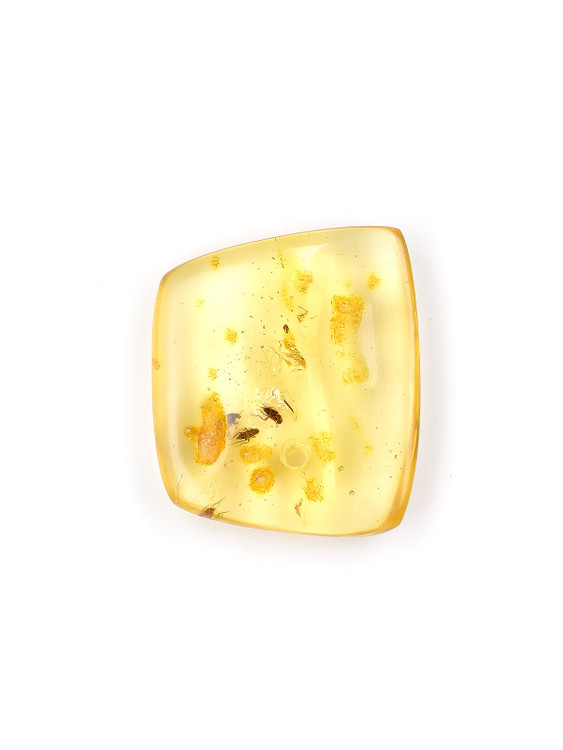 Amber with Insects