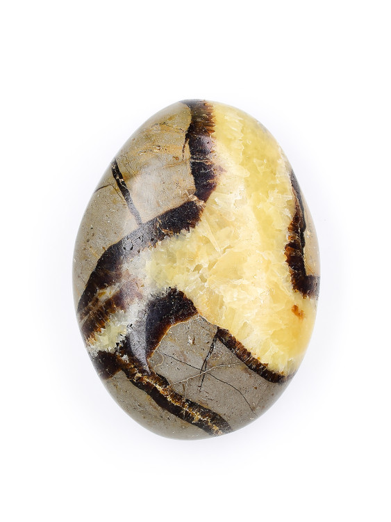 Septarian Palm Stone
