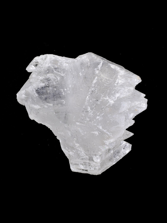 Fish Tail Selenite