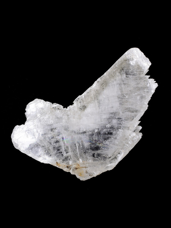 Fish Tail Selenite
