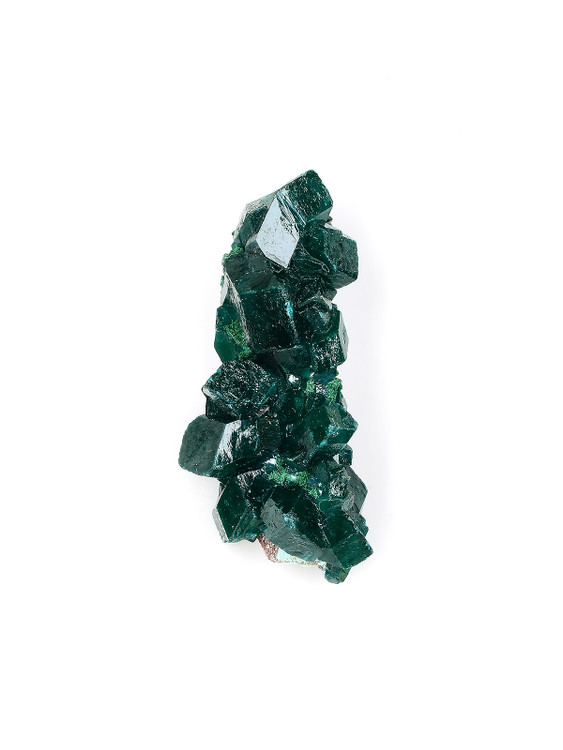 Dioptase Cluster