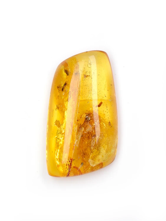 Amber with Insects