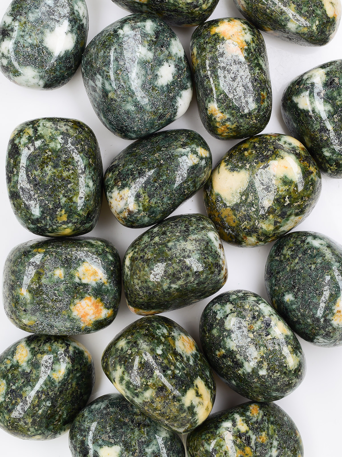 いこまる★PRECIOUS STONES PRINT BULOUSON Fossil Coral Cabochon, Black Fossil Coral Crystal, Fossil Coral