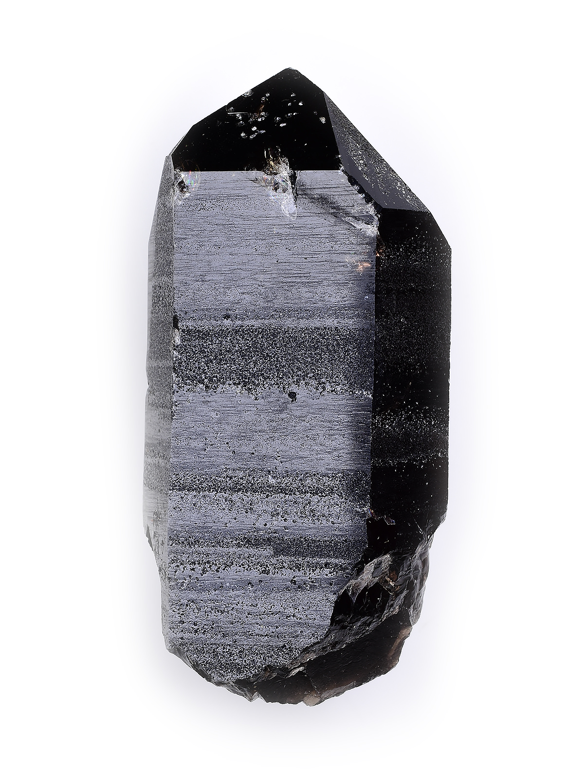 Morion Smoky Quartz 97-MUL-31 Exquisite Crystals