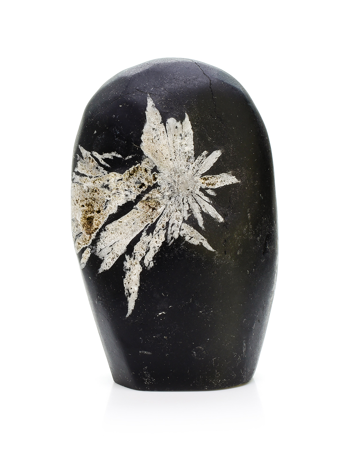 Minerals - Chrysanthemum Stone - Exquisite Crystals