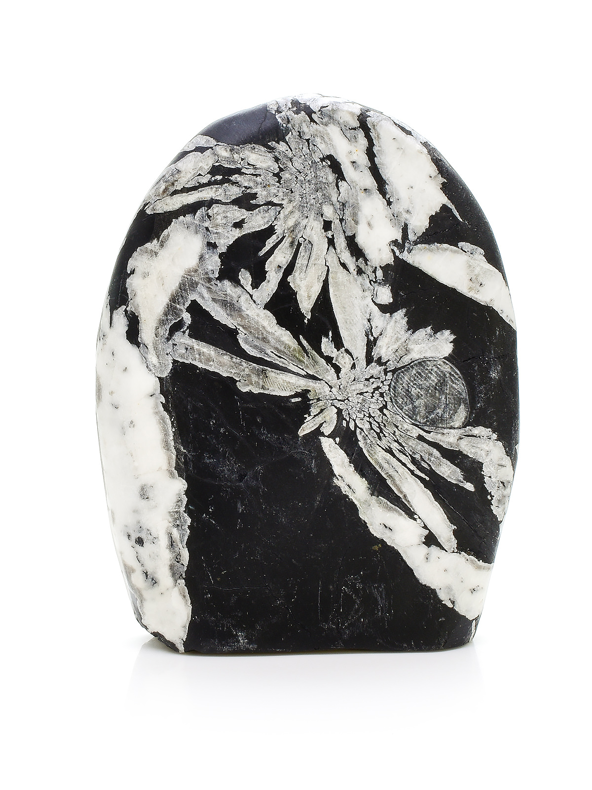 Minerals - Chrysanthemum Stone - Exquisite Crystals