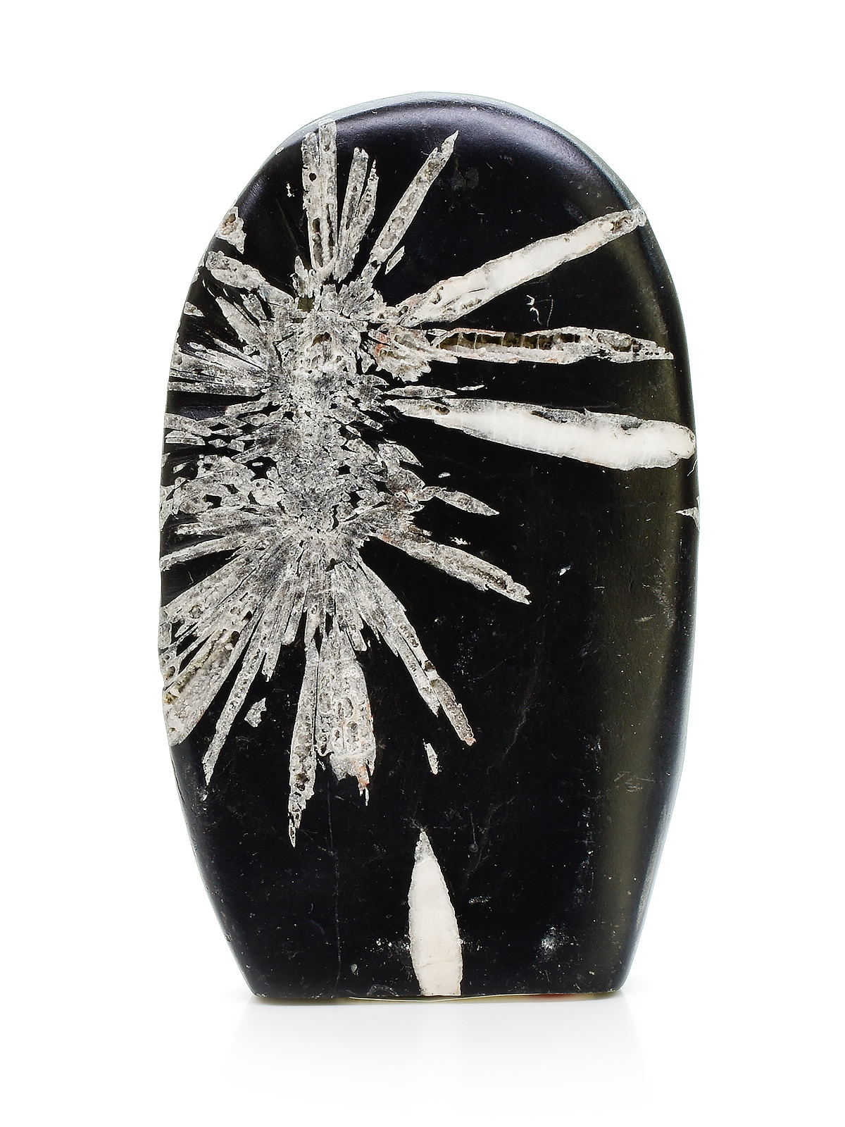 Minerals - Chrysanthemum Stone - Exquisite Crystals