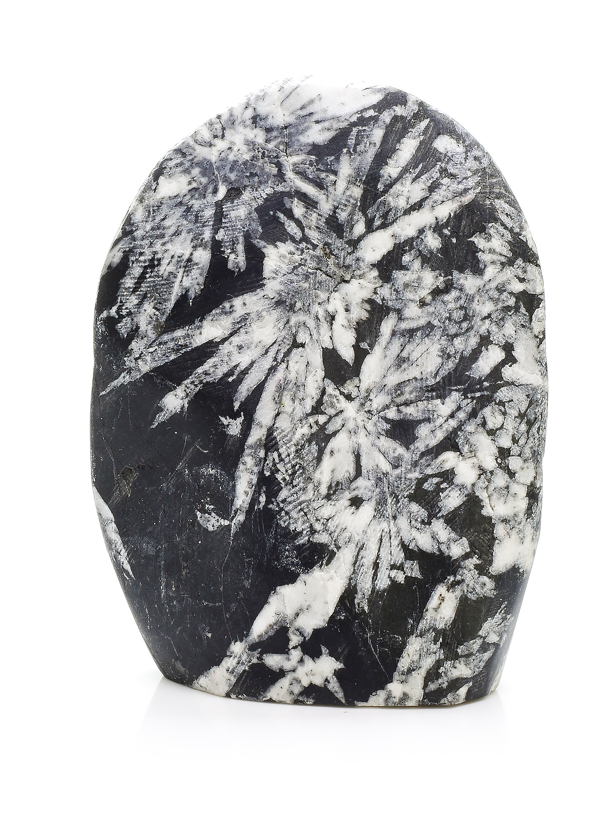 Minerals - Chrysanthemum Stone - Exquisite Crystals