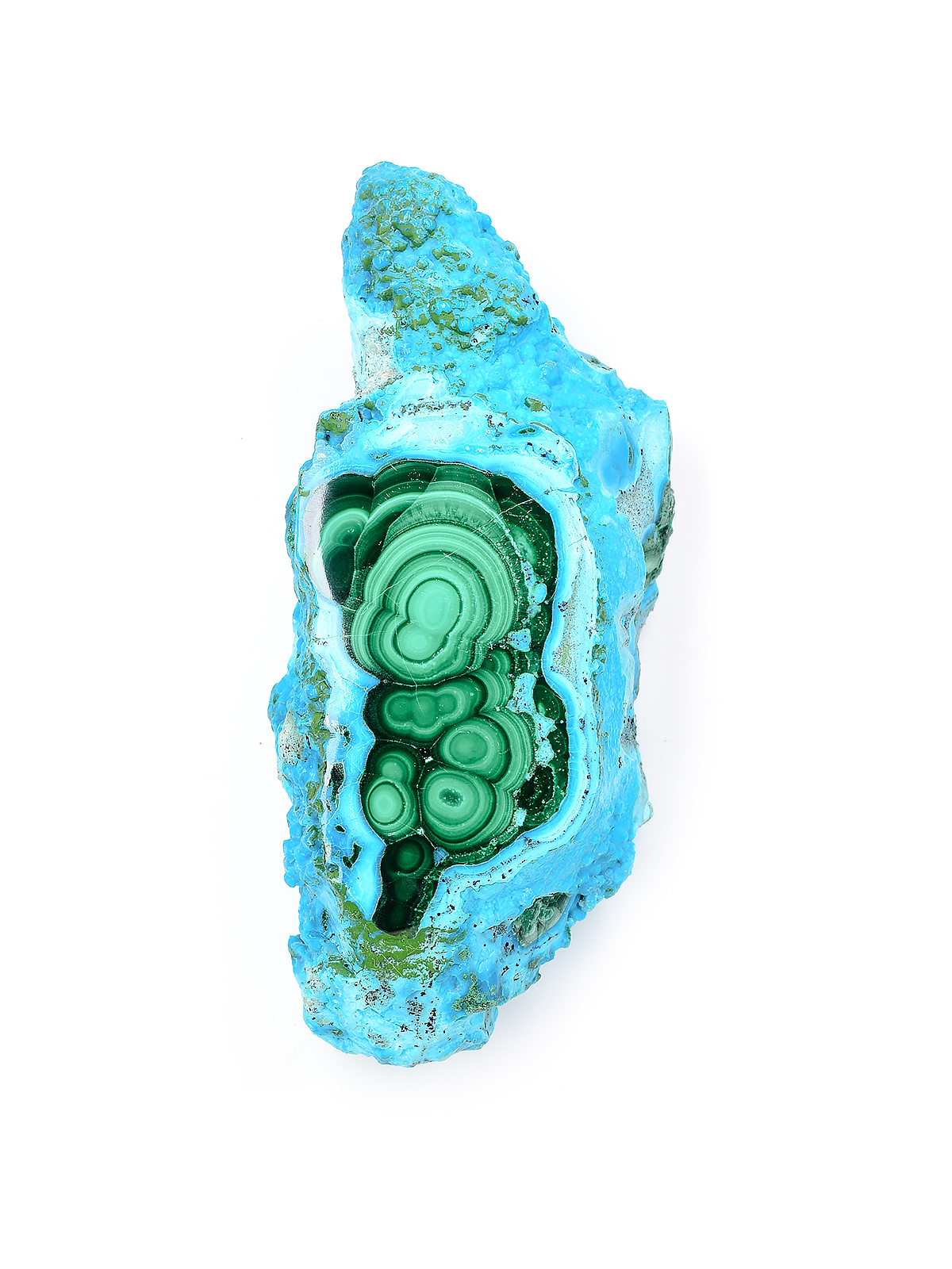 Chrysocollaページ Malachite in Chrysocolla Slice - 571-JAK-13 - Exquisite Crystals
