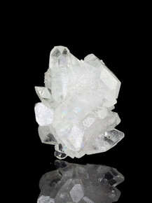 Apophyllite Mini Cluster - 480-ELI-36 Photo