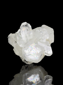 Apophyllite Mini Cluster - 480-ELI-45 Photo