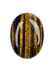 Tiger Eye Palm Stone - 6-NMI-25