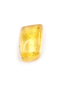Amber with Insects - 205-CRL-195