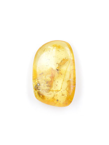 Amber with Insects - 205-CRL-216