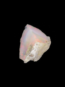 Opal Specimen - 2-HOFF-93 Photo