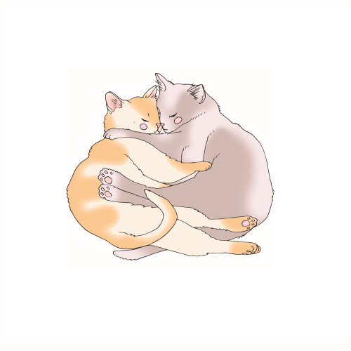 Cat Cuddle