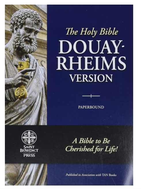 Bible: Douay Rheims Paperback