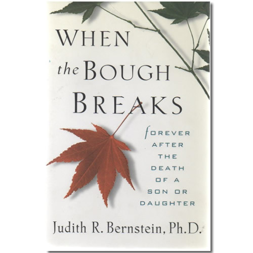 Book: When the Bough Breaks