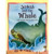 Book: Jonah and the Whale and other Bible Stories