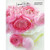 Card: Happy Birthday - Pink Flowers