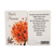Prayer Card: God's Promise