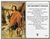 Prayer Card - St. Christopher