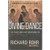 Book: Divine Dance - The Trinity and Your Transformation