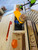 Router Table Exhaust Port