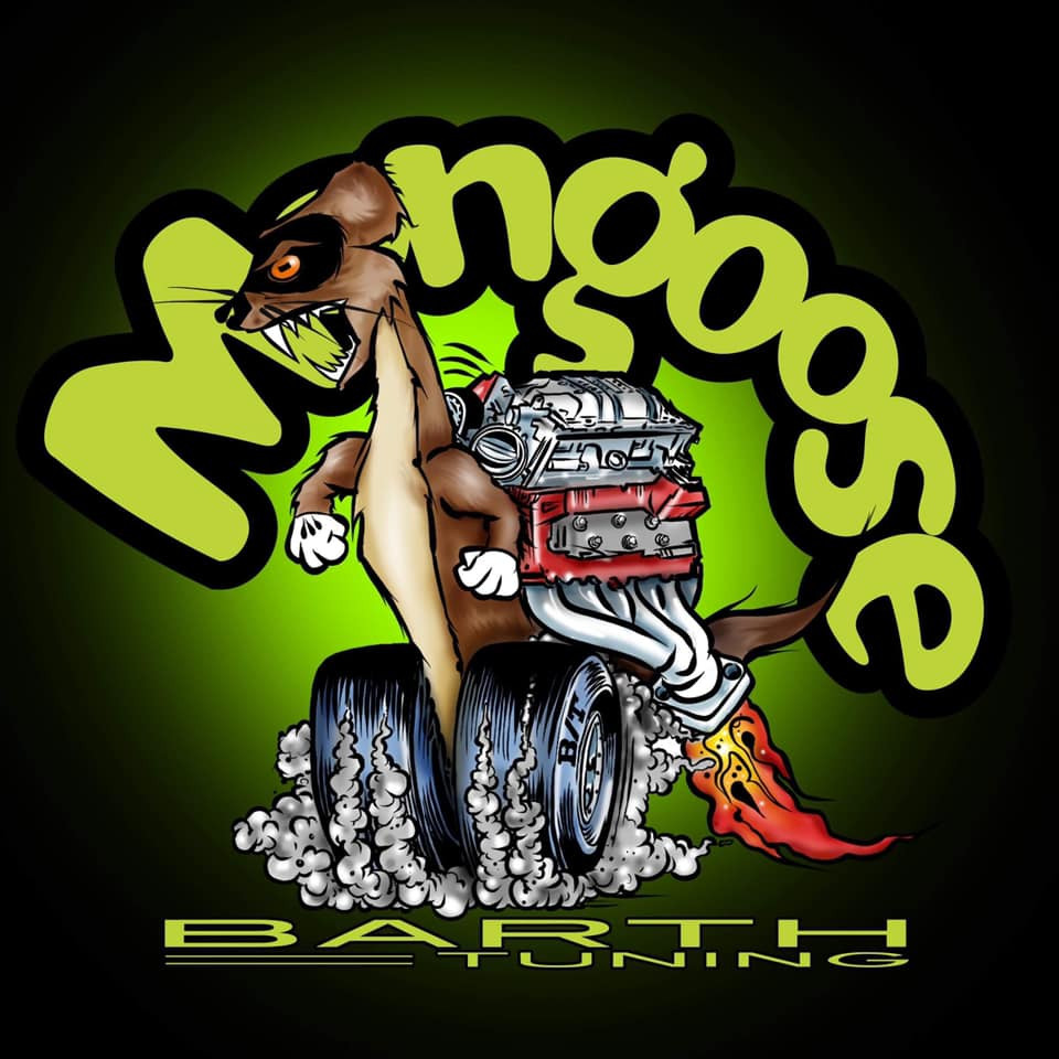 Mongoose 800+ Performance Package 2015-17 Hellcat