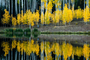 Clear Lake Reflection