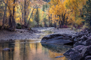 Crystal River Reflection